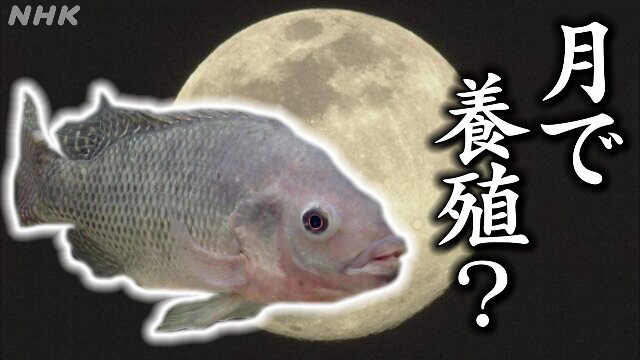 “地球見ながら刺身を食べたい”「月面養殖」への挑戦
